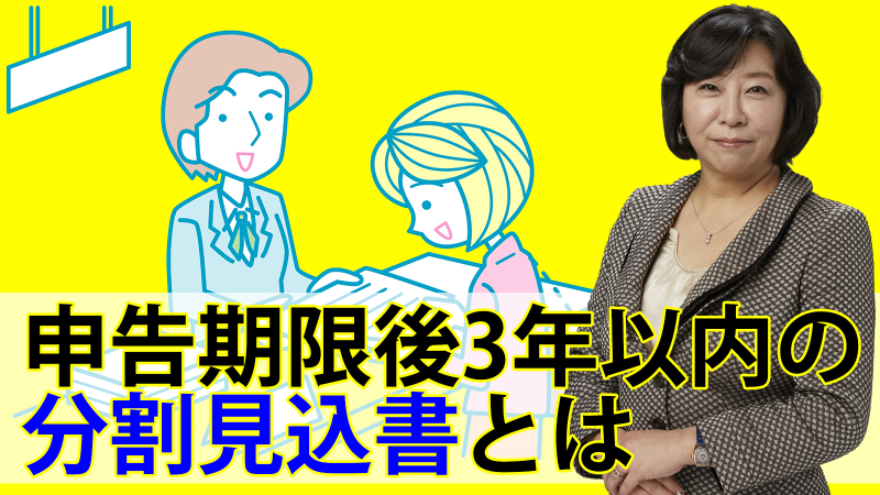 申告期限後3年以内の分割見込書とは