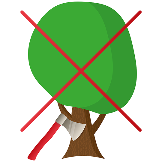 山林の伐採制限