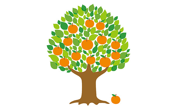 林檎や蜜柑などの果物のなる樹木の相続税評価方法