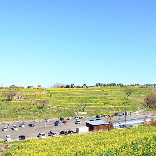 原野の中にある駐車場